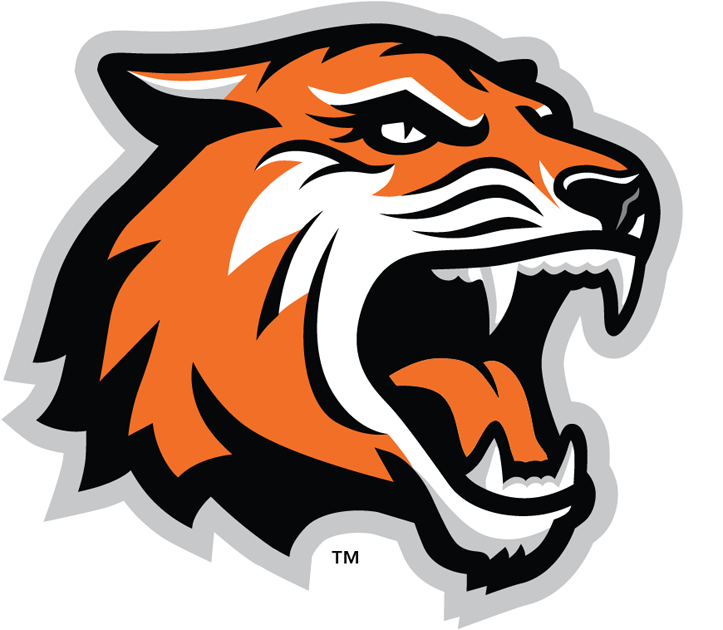 RIT Tigers 2004-Pres Alternate Logo v2 diy iron on heat transfer